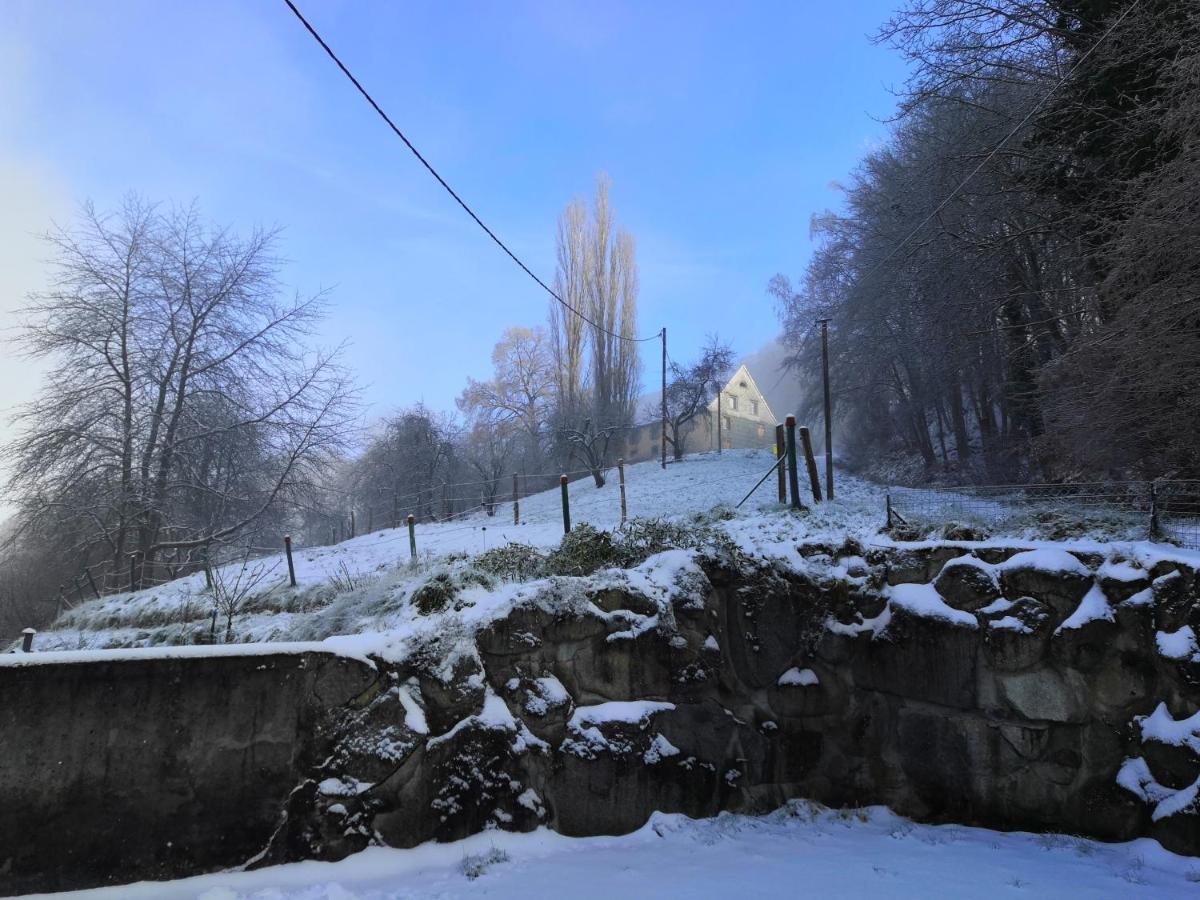 Gîte Henry Orbey Buitenkant foto