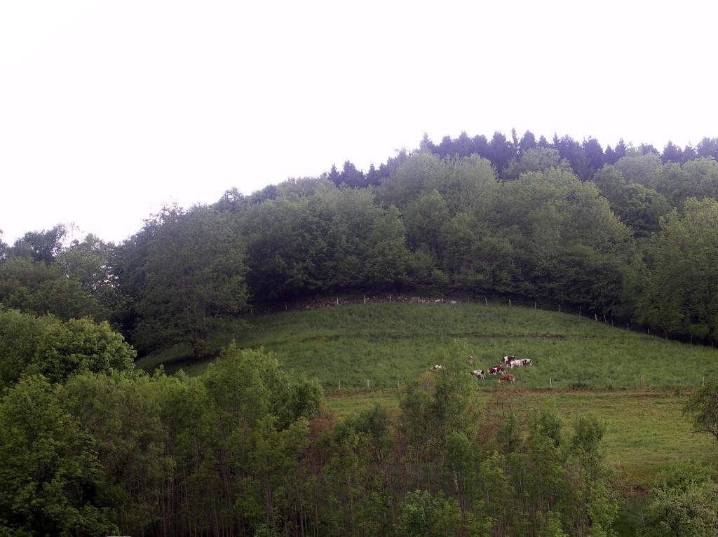 Gîte Henry Orbey Buitenkant foto