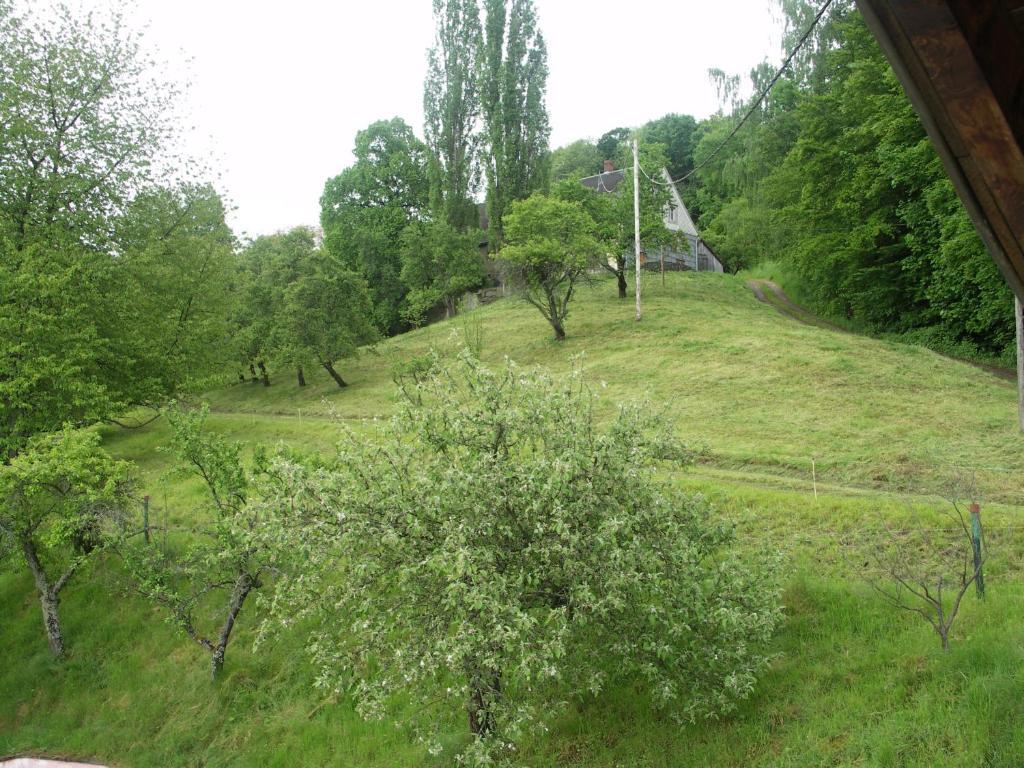 Gîte Henry Orbey Buitenkant foto