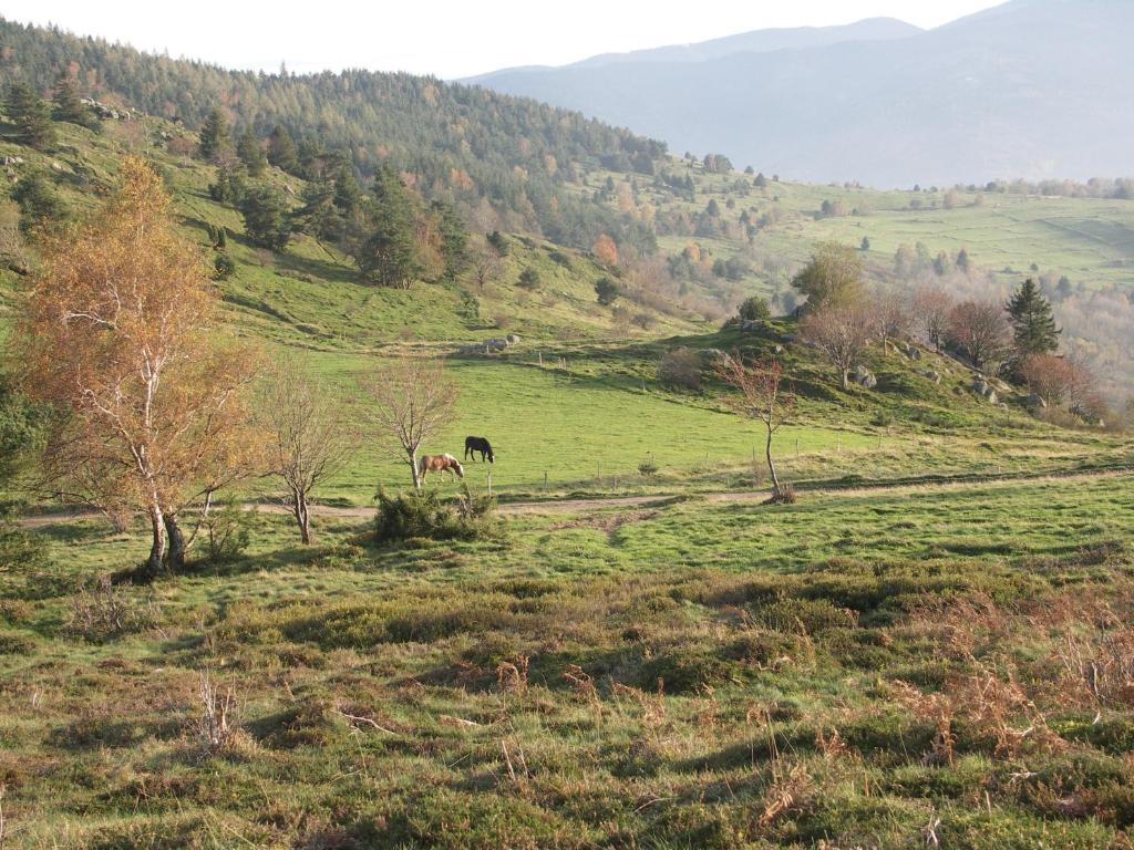 Gîte Henry Orbey Buitenkant foto