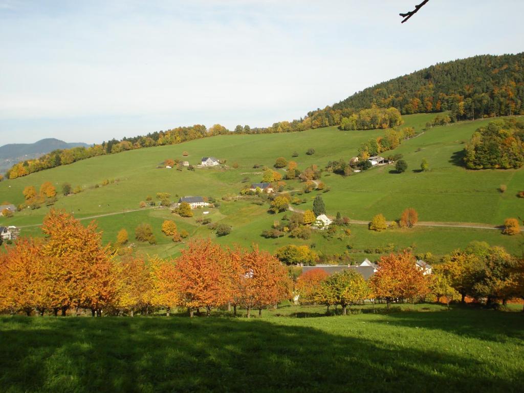 Gîte Henry Orbey Buitenkant foto